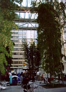 minskoff_building.jpg (27509 bytes)